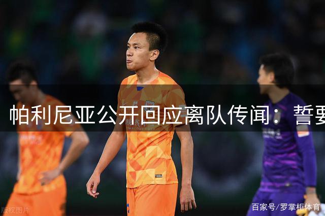 帕利尼亚公开回应离队传闻：誓要在拜仁站稳脚跟
