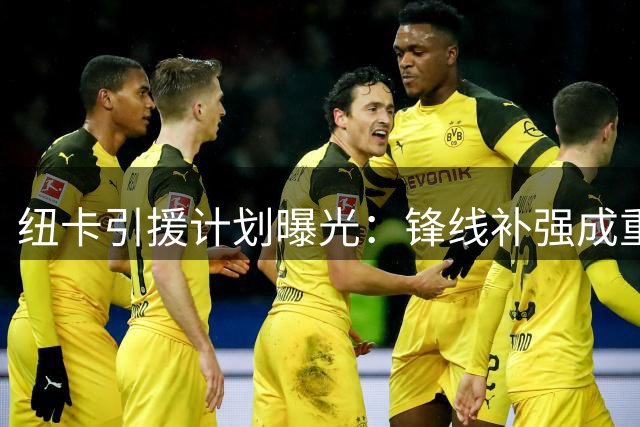 纽卡引援计划曝光：锋线补强成重点 多名球员或离队